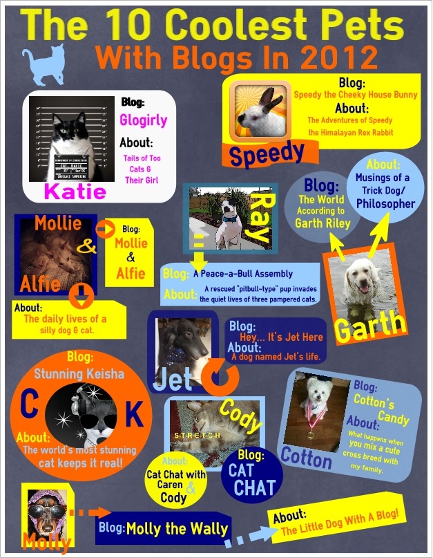 The 10 Coolest Pets With Blogs In 2012 Pawsitively Pets