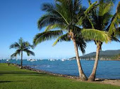 Mas de Airlie Beach...