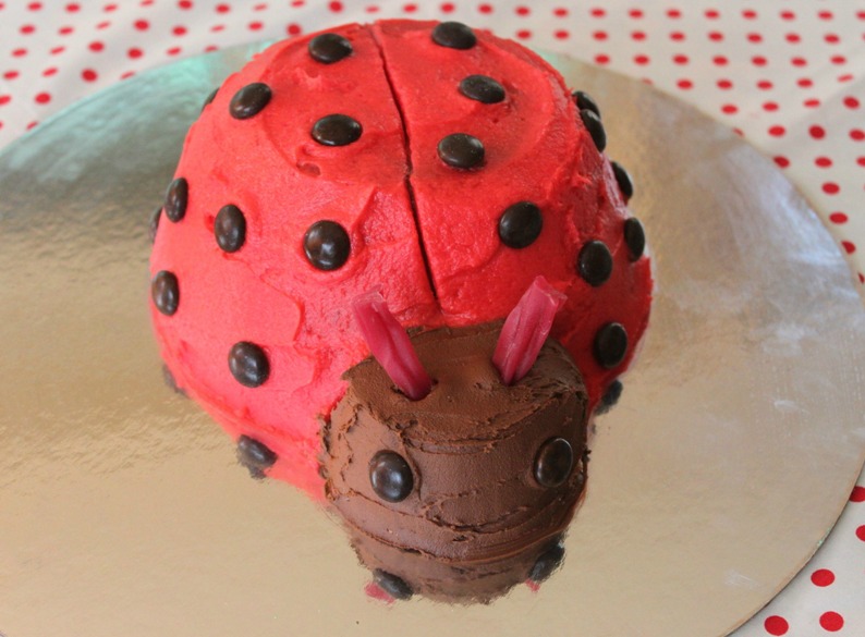 Lucy's Ladybird Cake - Sew Delicious
