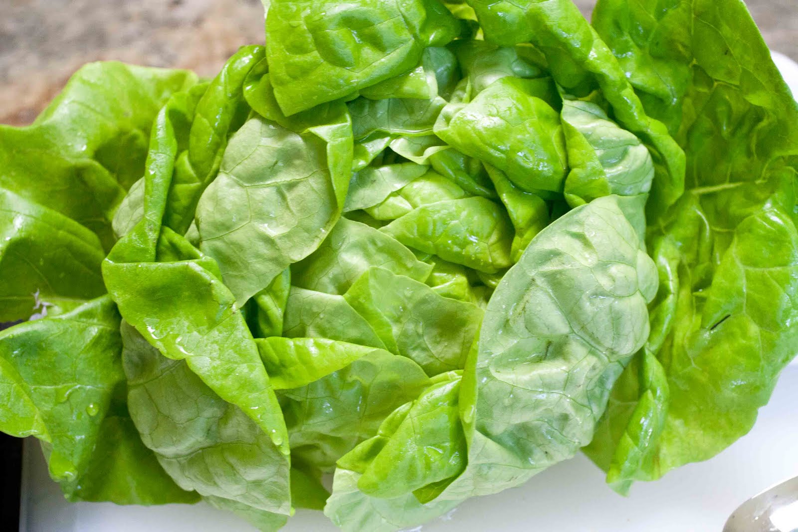 FOODjimoto Lettuce Wraps