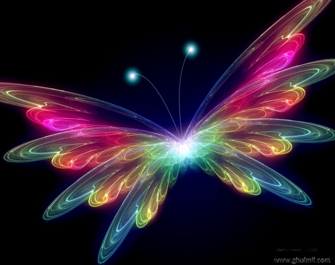 3D Butterfly wallpaper Butterflies Wallpaper 31063788 Fanpop 3D Butterfly wallpaper Butterflies Wallpaper 31063788 Fanpop