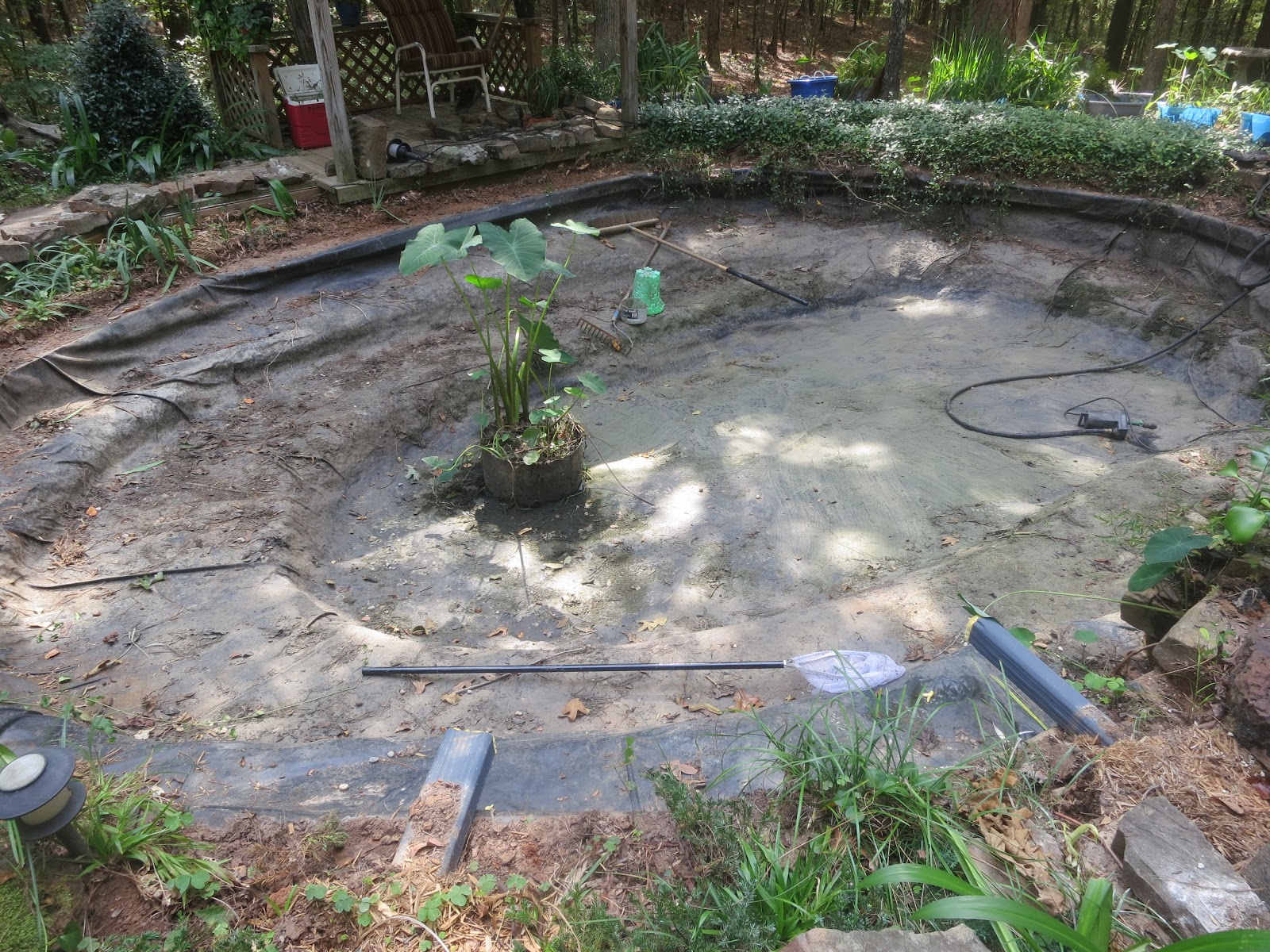 koi-pond-design-construction-liner.jpg