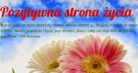 Pozytywna strona życia