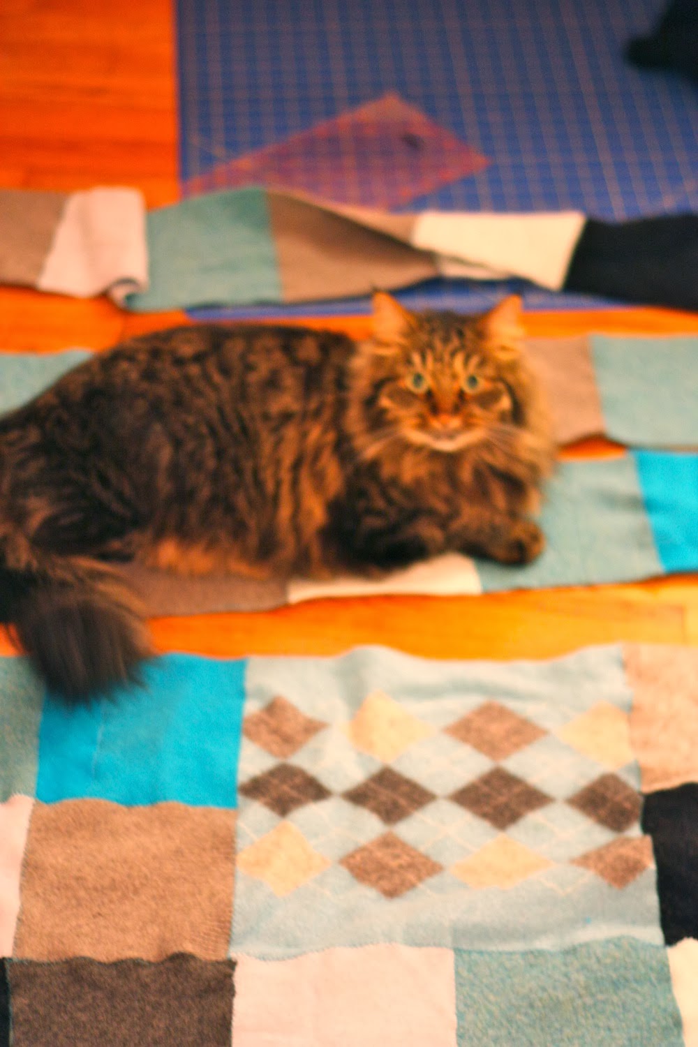 ben and birdy FeltedWool Blanket Tutorial