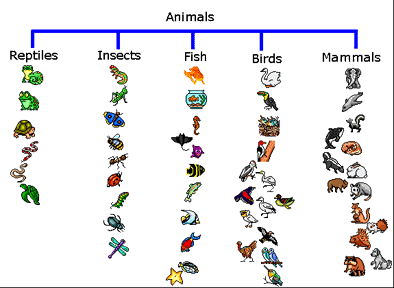 Grouped Animals