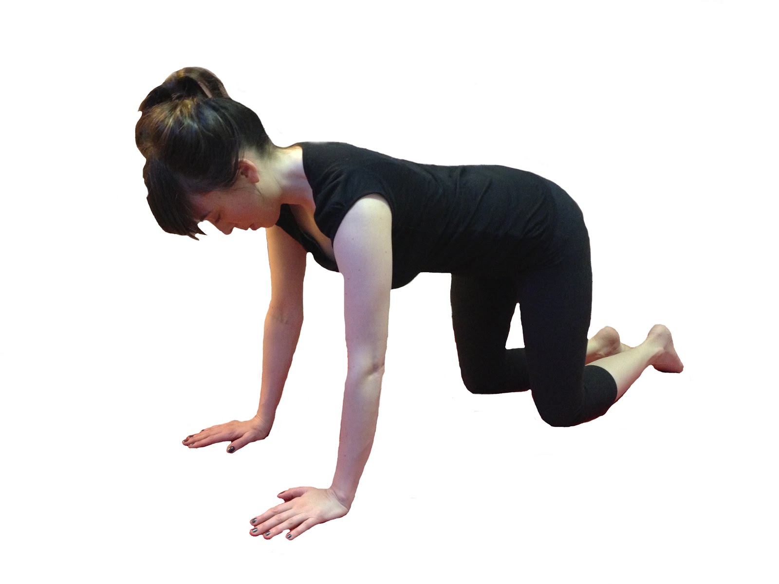 Quadruped пилатес