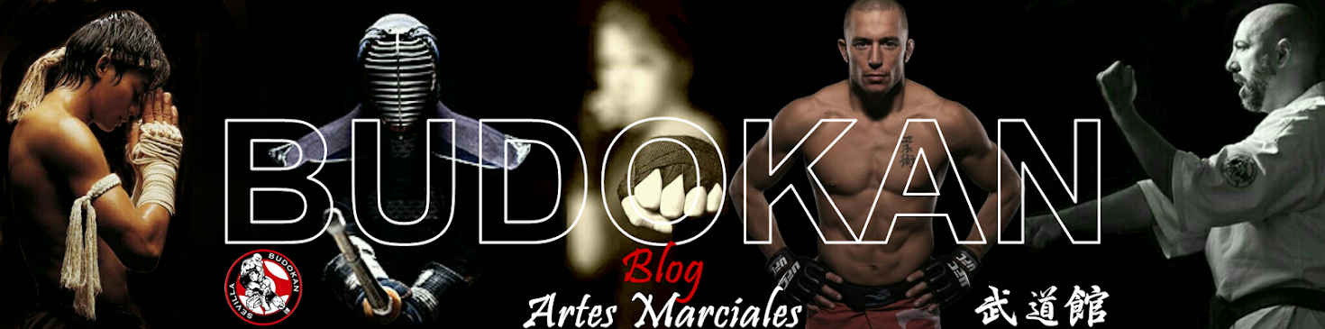 BUDOKAN blog de artes marciales 