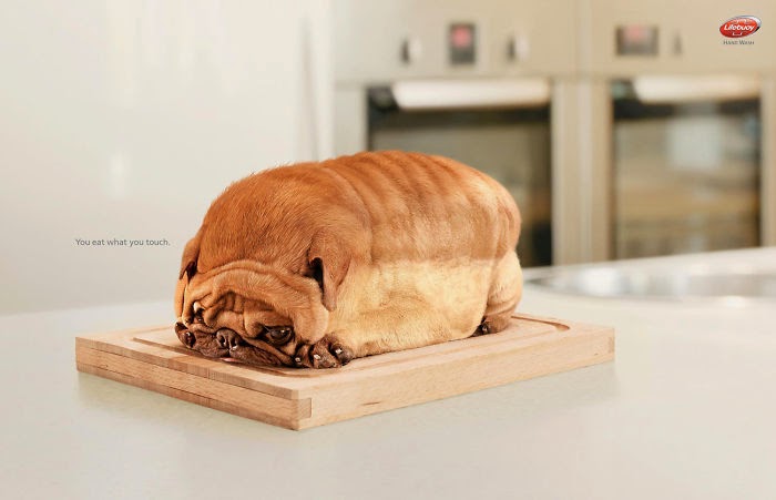 動物を使った広告