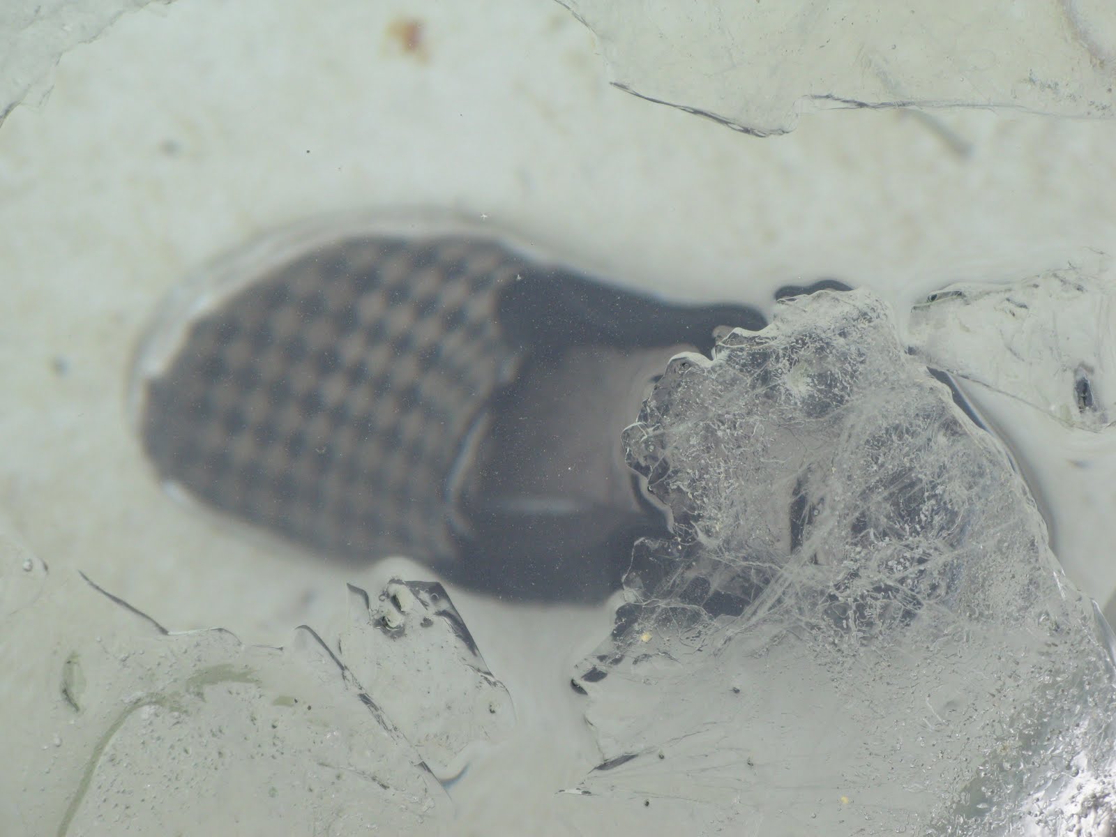 So how cold does it get in France? Our house in Quercy a midlife