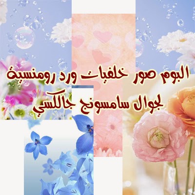 ألبومات صور منوعة البوم صور خلفيات سامسونج جلاكسي وجوال اندرويد ورود رومانسية