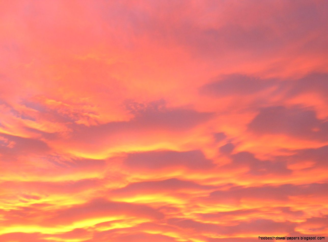 Pink Sky II by IamNoOne22FL on DeviantArt Pink Sky II by IamNoOne22FL on DeviantArt