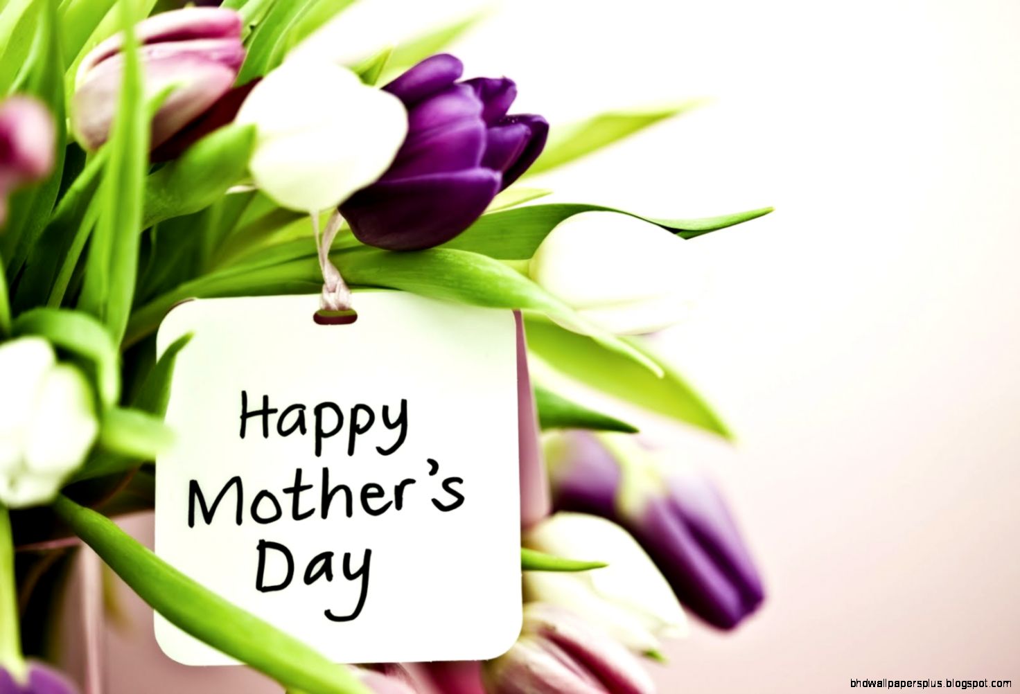 Mother39s Day Plant amp Flower Sale Bernardsville Fire Company and Mother39s Day Plant amp Flower Sale Bernardsville Fire Company and