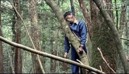Video : Hutan Aokigahara Tempat Favorit Bunuh Diri Orang Jepang ~ Buset Gan