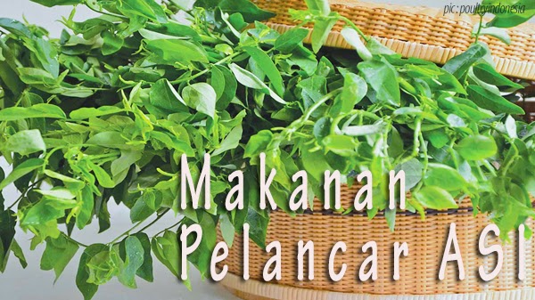 Resep Masakan Praktis Rumahan Indonesia Sederhana Aneka