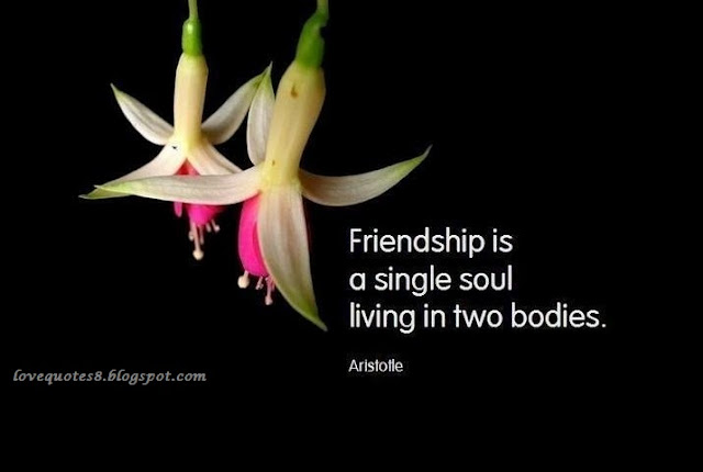 friendship quotes wallpapers