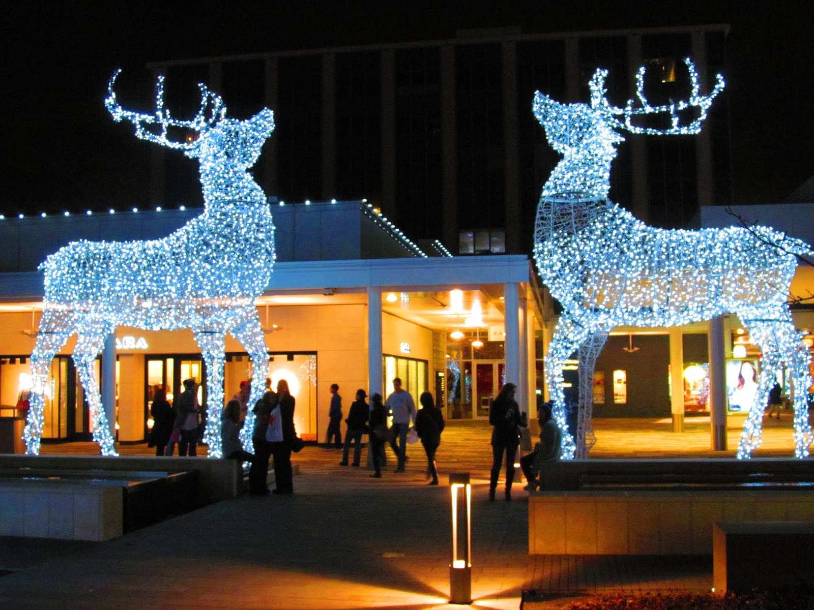 Trip to the Mall Oakbrook Center Around Christmas 2015!