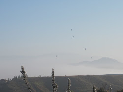 Hot Air Balloons in Temecula