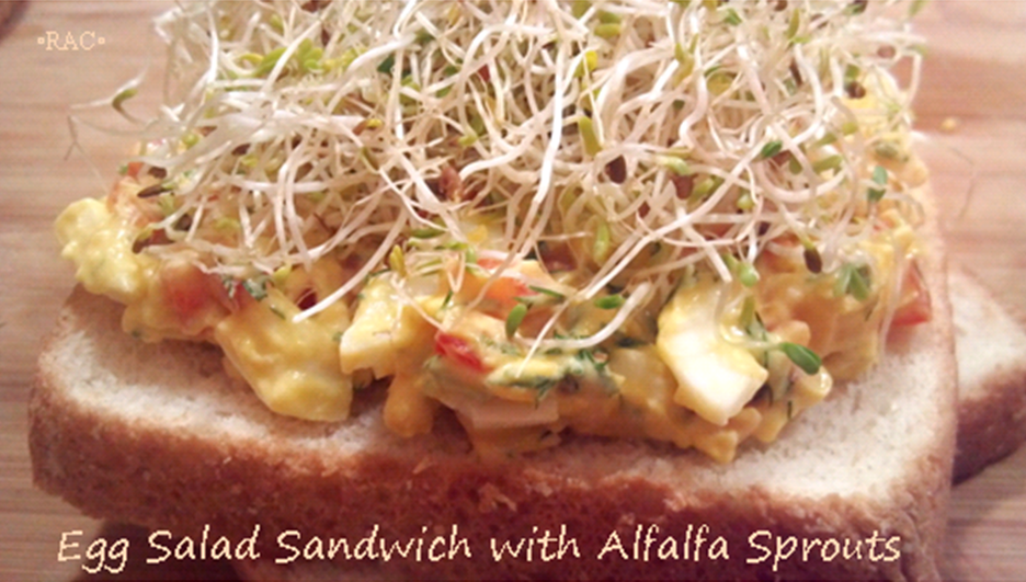 Rebecca's Amazing Creations Egg Salad Sandwich with Alfalfa Sprouts