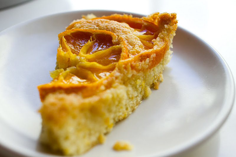 Bon Appétempt Juicy Satsuma Orange Cake