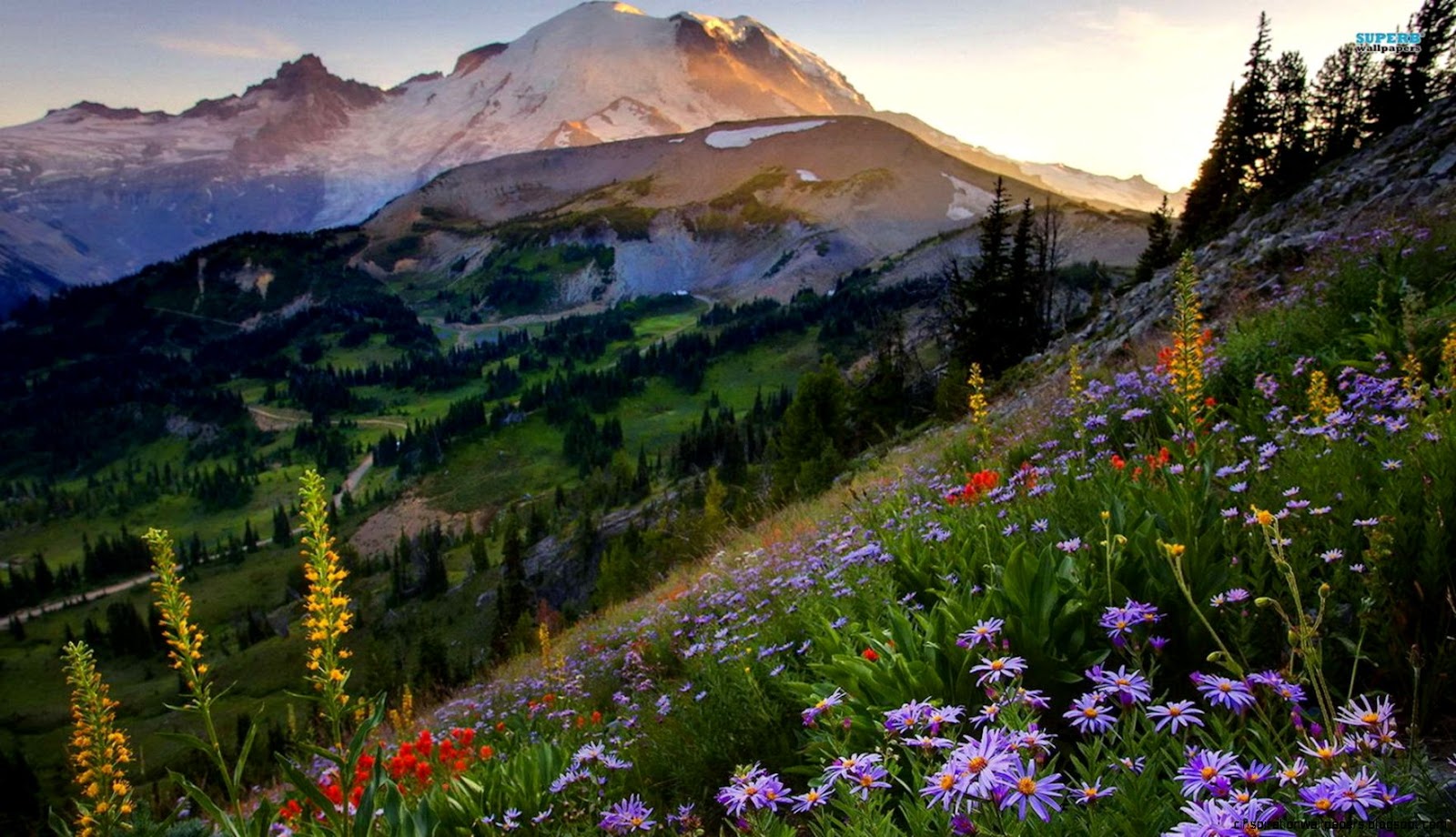 Mount Rainier Wallpapers Mount Rainier Wallpapers