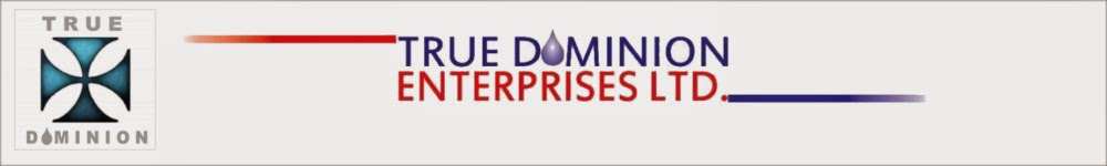 True Dominion Enterprises Ltd