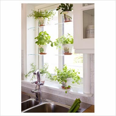 Simple Kitchen Herb Garden rangkatha ~tales of colors, crafts & decor: aroma in air!! Simple Kitchen Herb Garden rangkatha ~tales of colors, crafts & decor: aroma in air!!