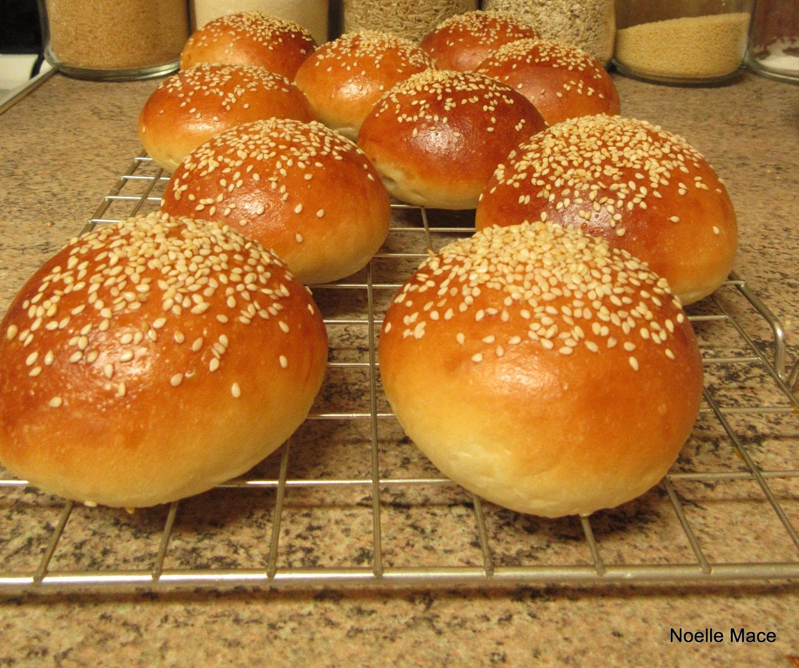 Am Katat Bash A Kiwi On The Move May 2014