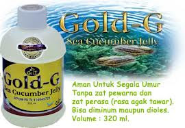 Obat Herbal Jelly Gamat Gold G