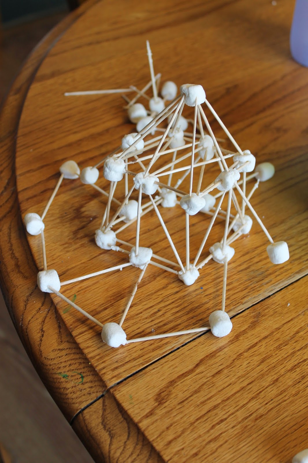 The Logan's Toothpick & Marshmallow Houses