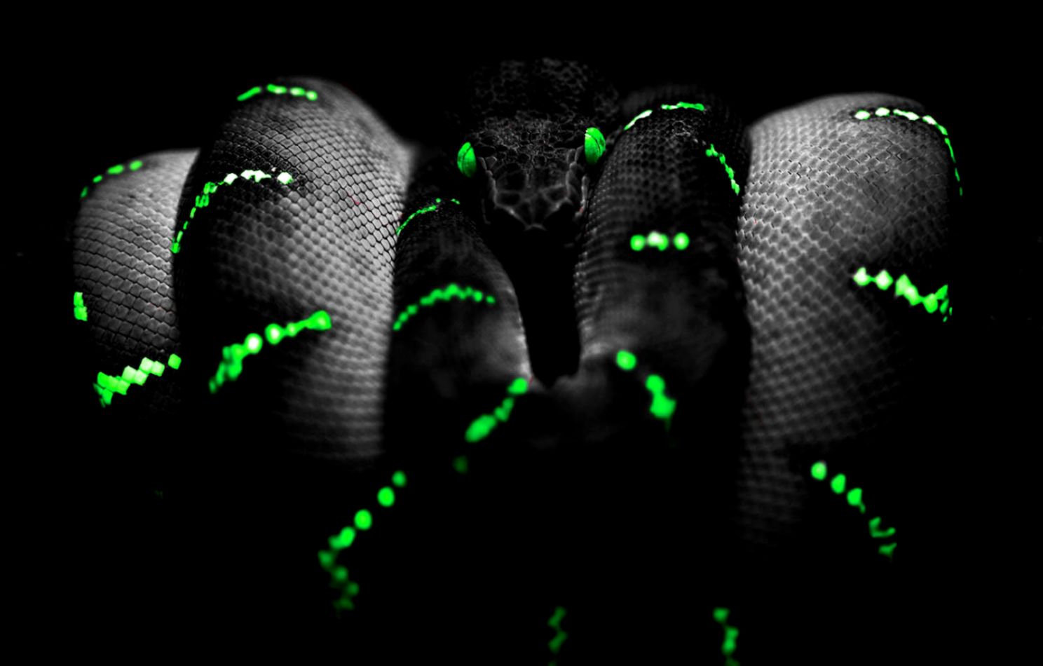 wallpapers Dark 3D Wallpapers wallpapers Dark 3D Wallpapers