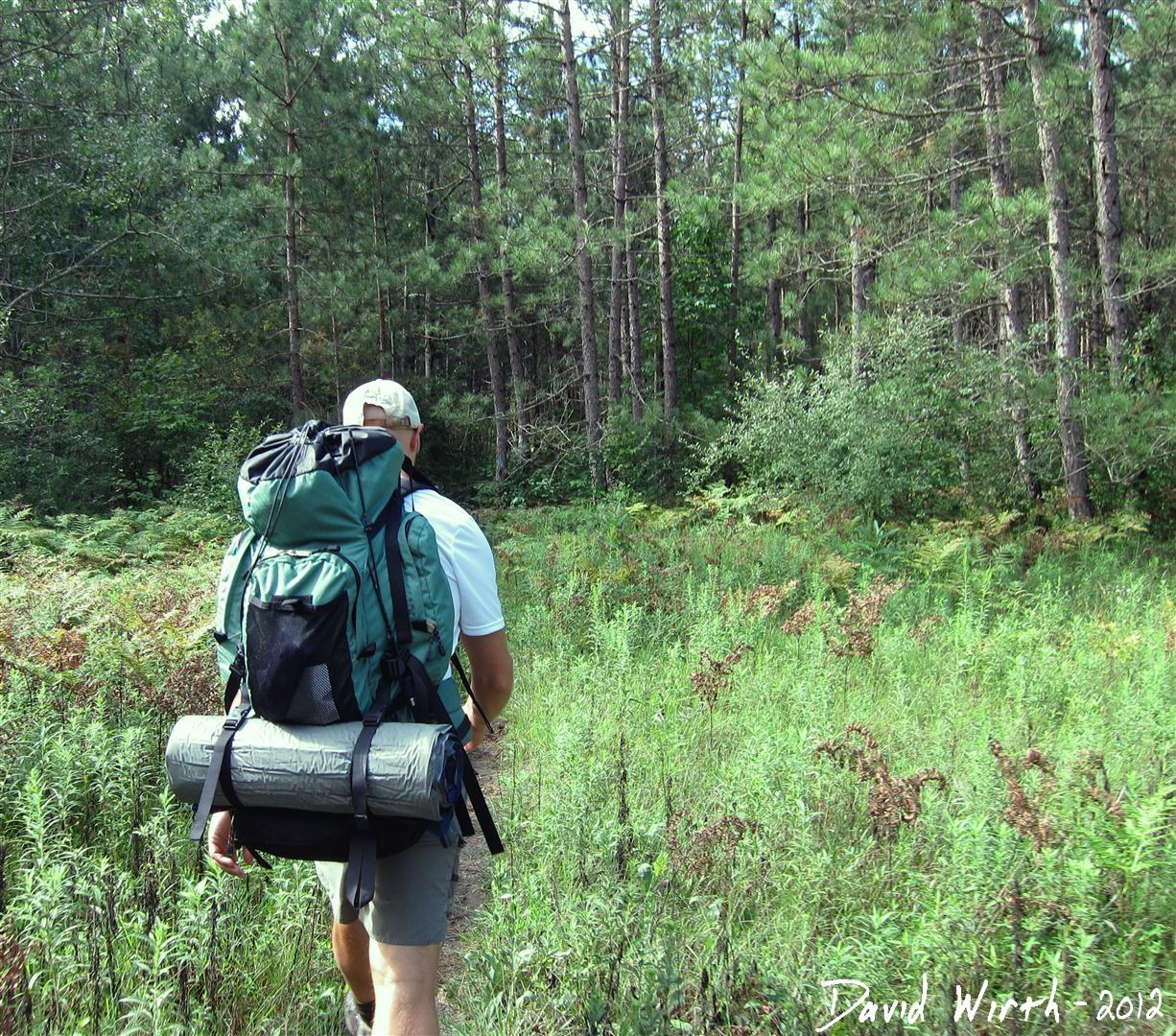 Camping and Hiking in the National Forest