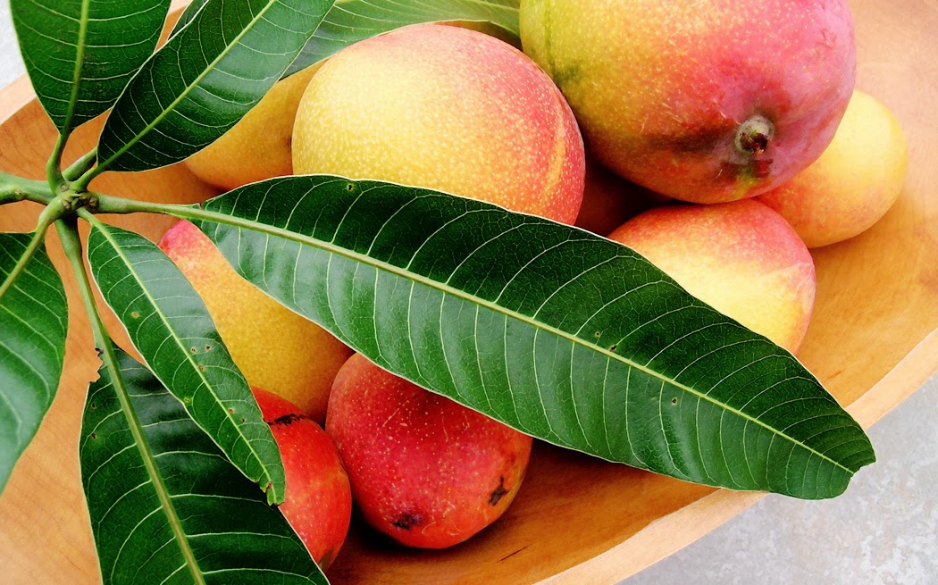 Tasting Hawai'i With Moloka'i Chef James Temple Have A Taste For Mango?