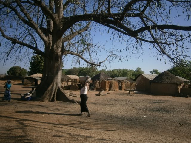 Along the road from Tamale to Wa.