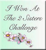 The 2 Sisters Challenge Blog
