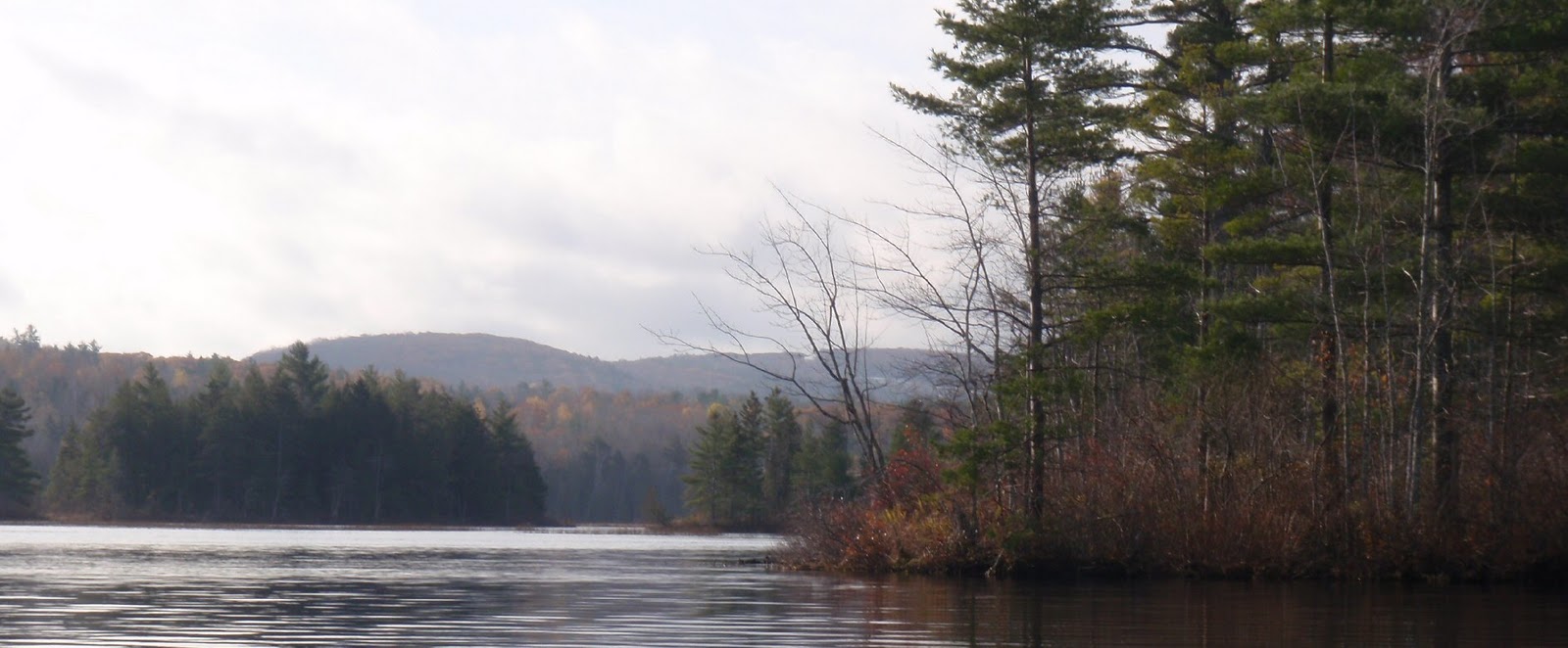 PenobscotPaddles Davis Pond to Holbrook Pond, Eddington Maine