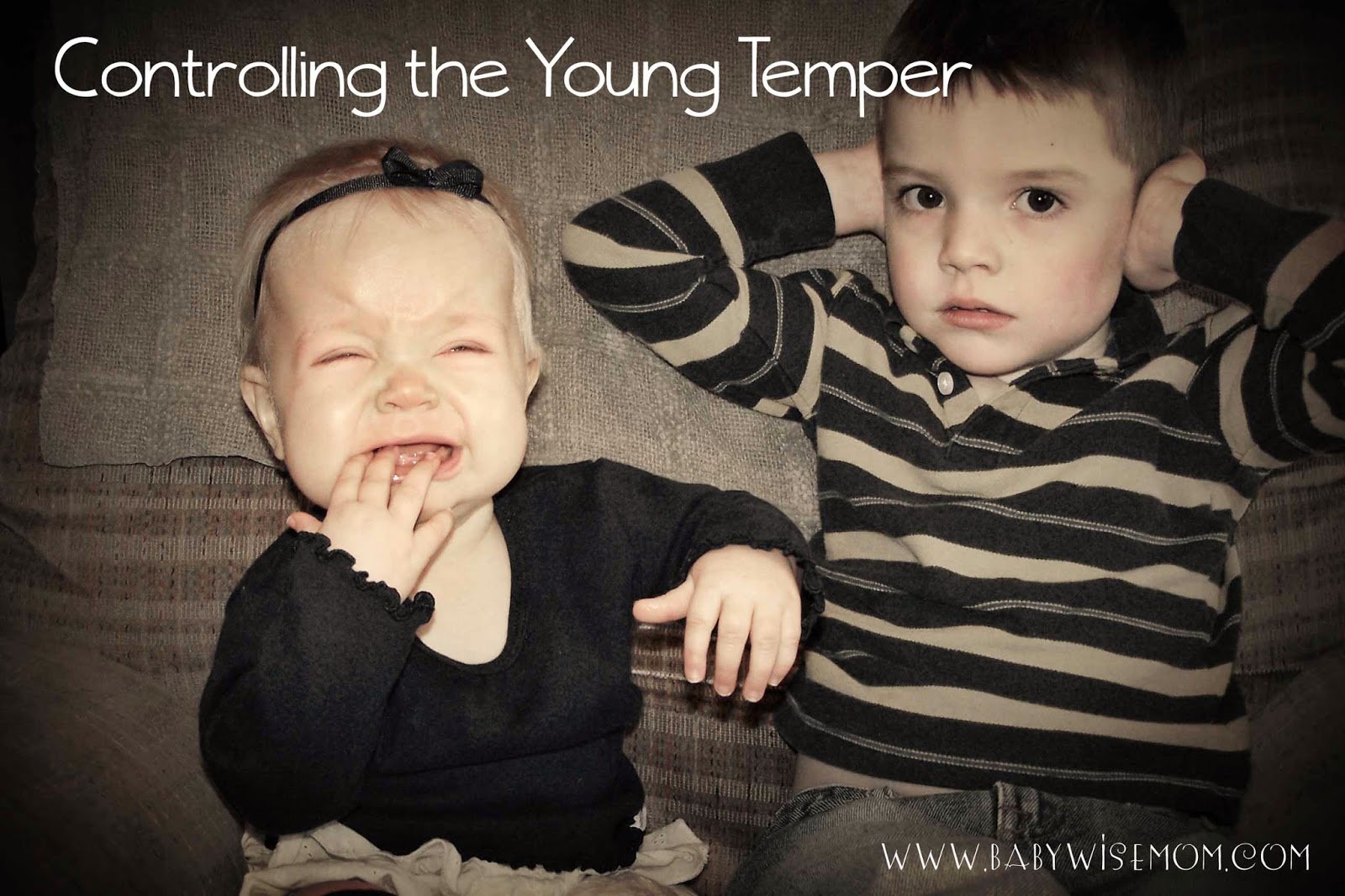 Controlling the Young Temper Chronicles of a Babywise Mom