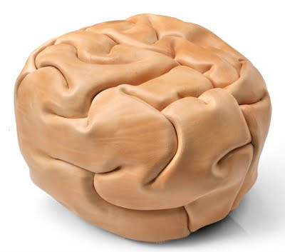 Littlepopmachine use your brain zombies are out of bounds Littlepopmachine use your brain zombies are out of bounds