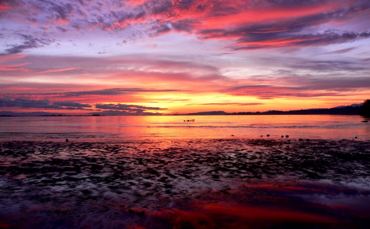Free Screensavers and Wallpapers Free Screensavers and Wallpapers