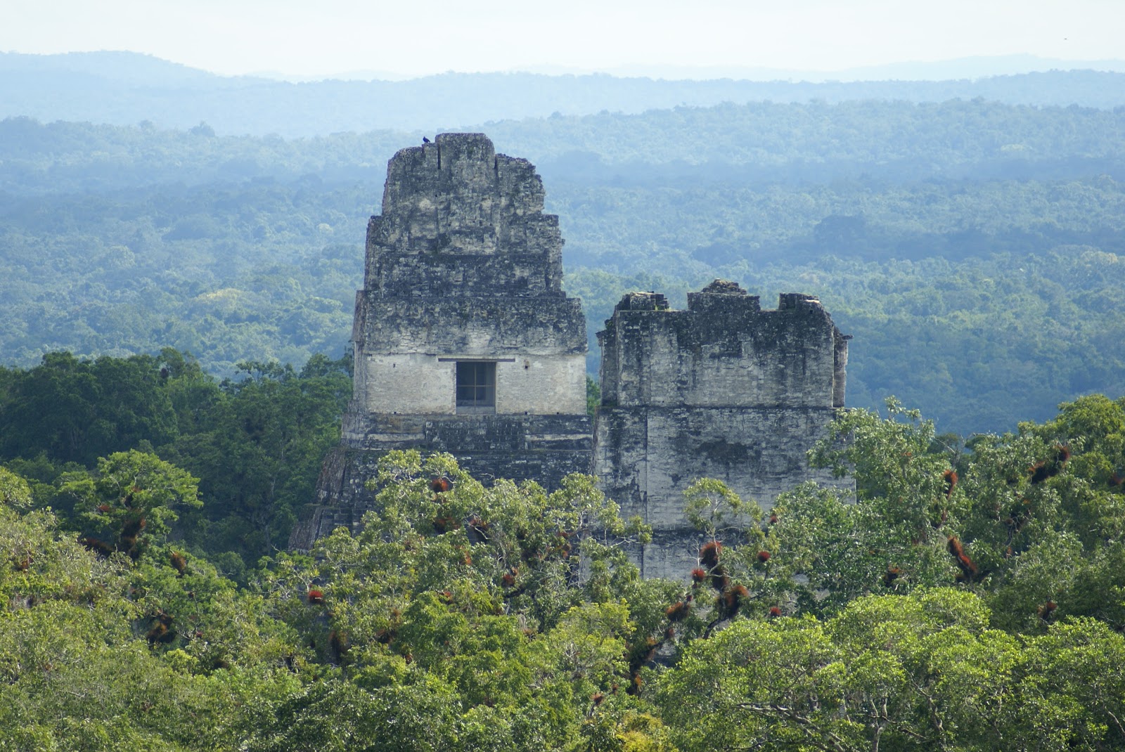 Guatemala Flores