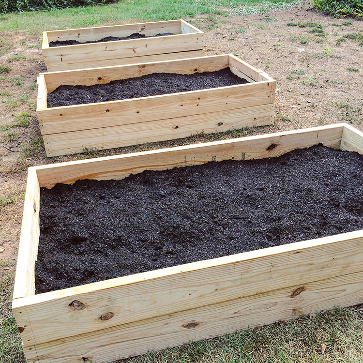Our Raised Bed Vegetable Garden (Take 1)