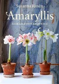 Amaryllis