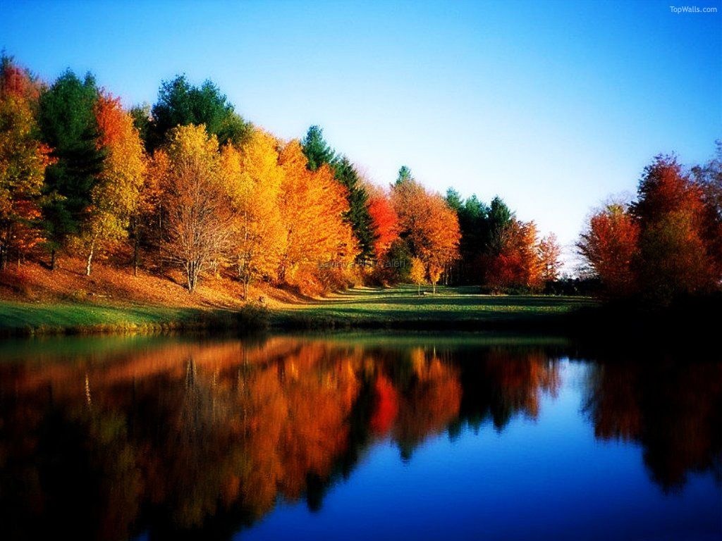 http://3.bp.blogspot.com/-NIhrvbFbZ6o/UFkLUOmnThI/AAAAAAAAD-I/2tp6yFJA4ZE/s1600/3d%2Bnature%2Bwallpapers%2B1.jpg