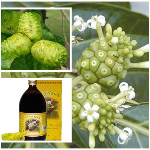 Herbolari 73 Plantas medicinales. Aromaterapia NONi