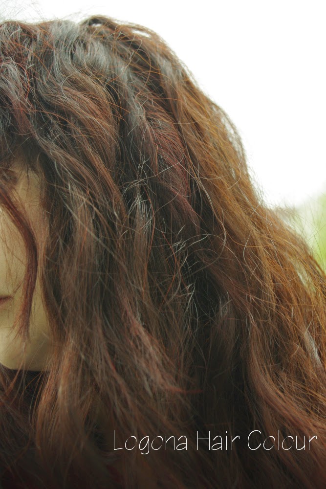 Two Years Of Using Henna Brand Comparision, Herbatint, Tips n Tricks