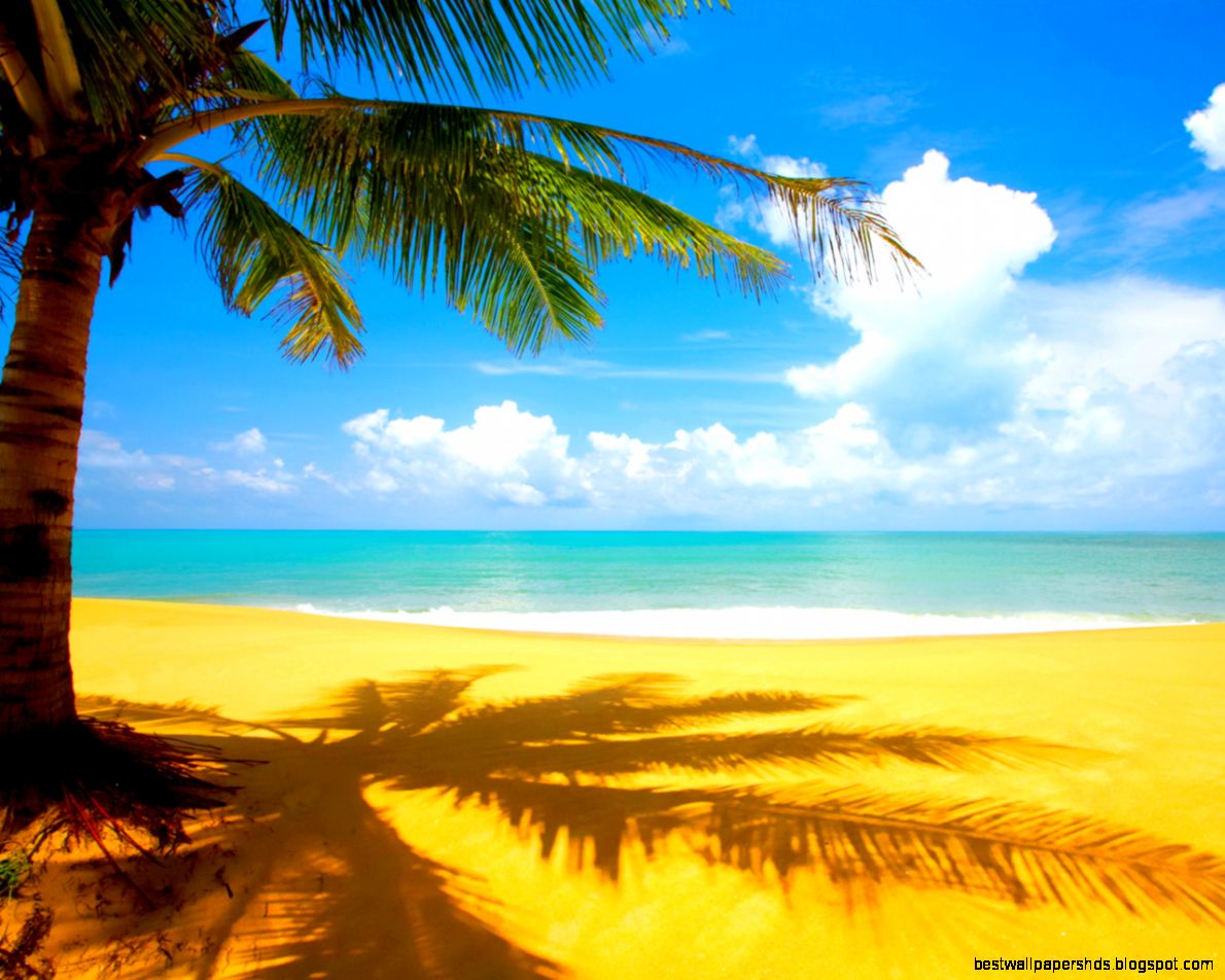 Summer Wallpapers Summer Wallpapers