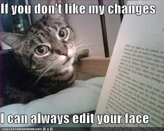 Oops Lolcat