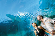 Media Events: Atlantis Dubai (atlantis lr )