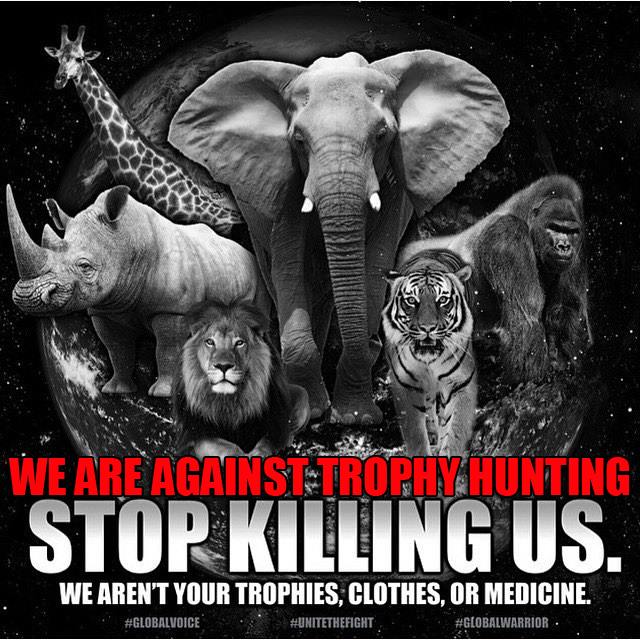 STOP KILLING US!