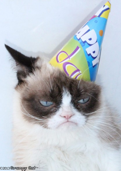 Grumpy Cat With Birthday Hat Grumpy Cat With Birthday Hat