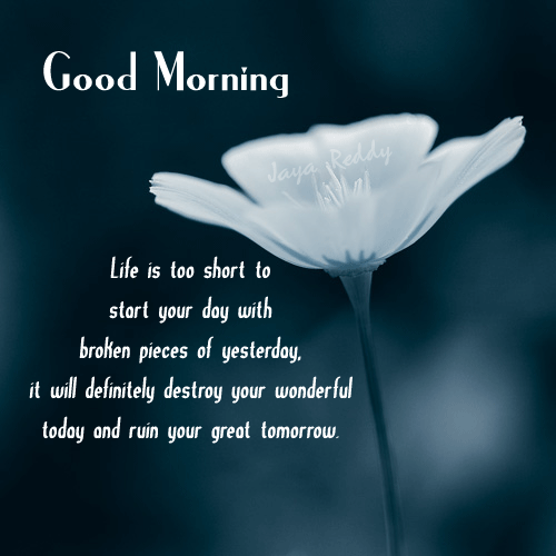 Top 100 Good Morning Post For Fb